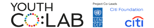 Youth Co:Lab